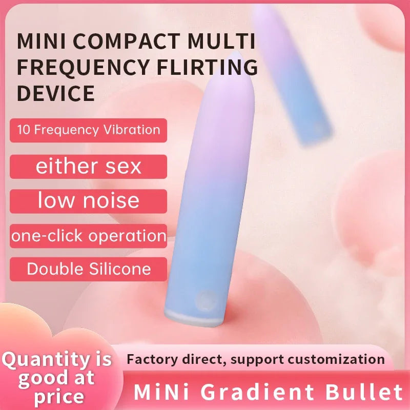 Mini Rechargeable Bullet Vibrator